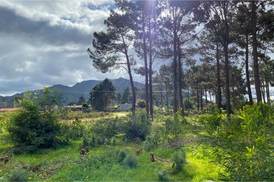 0 Bedroom Property for Sale in Bot River Western Cape
